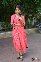 Anu Emmanuel At Majnu Movie Success Meet